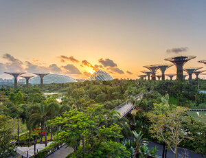 Trip of New York ? Discover America